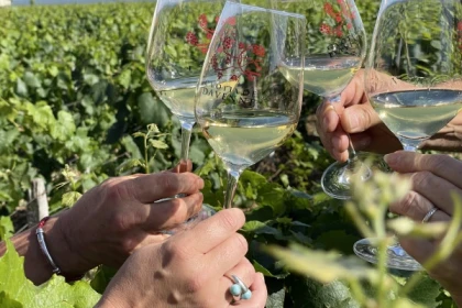 Grands Crus tour in e-Mehari and Chablis tasting - Exploregion