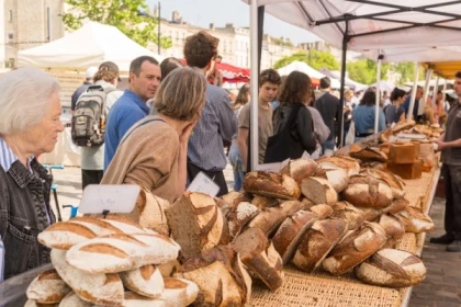 Bordeaux Market Food Tour and River Cruise - Exploregion