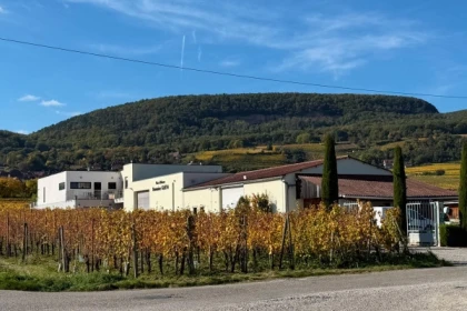 Christmas event - Organic Alsace wines & festive delights - Exploregion