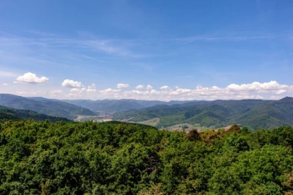 DIGITAL TREASURE WINTZENHEIM (BY FOOT) - Exploregion