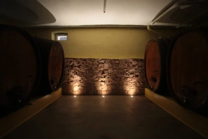 Winegrower discovery: the soul of a vineyard - Exploregion
