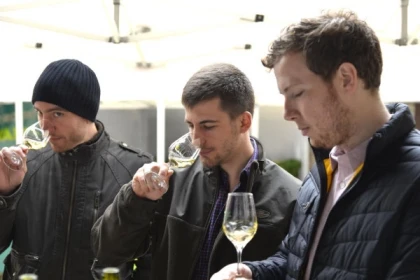 Tasting in Chablis - Exploregion