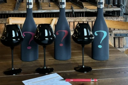 Blind tasting (Tour in French) - Exploregion