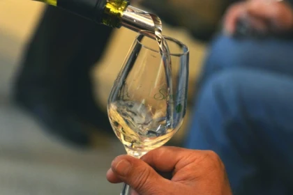 Chablis tasting at  Domaine Clotilde Davenne in French - Exploregion