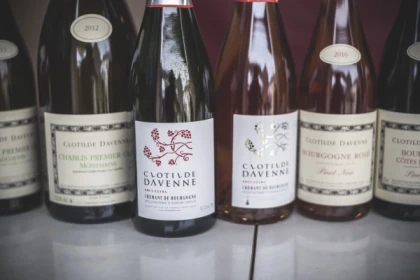 Chablis tasting at  Domaine Clotilde Davenne in French - Exploregion