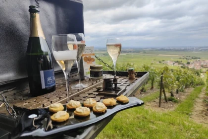 The Must-Have Tradition, tasting in the vineyard - Exploregion