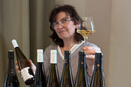 Tasting of Alsace's must-try organic wines - Exploregion
