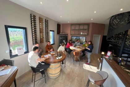 Tasting of Alsace's must-try organic wines - Exploregion