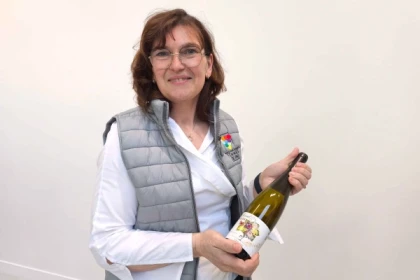 Tasting of Alsace's must-try organic wines - Exploregion