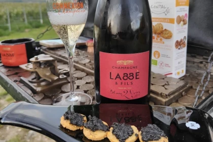 The unmissable Millésimé, tasting in the vineyard - Exploregion