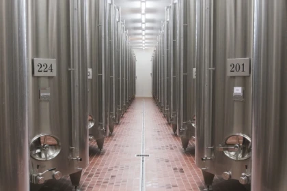 Ripeness masterclass by Champagne De Sloovere - Pienne - Exploregion