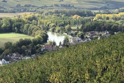 Sparkling Escape: Scenic Views & Champagne Tastings-1h30 - Exploregion