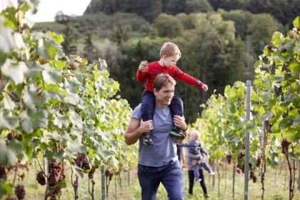 Explore the Enchanting River and Wine Moselle Day Tour - Exploregion