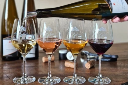 Guided winery tour in Alsace - local wine tasting - Exploregion