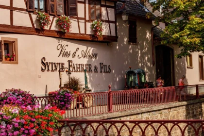 Guided winery tour in Alsace - local wine tasting - Exploregion