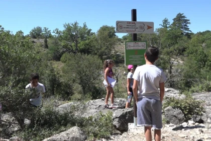 Treasure hunt in the forest - Promo - Exploregion