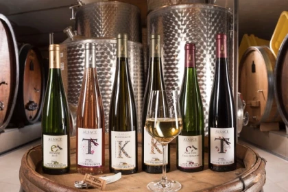 Sensory Workshop : Learn to taste the Wine ! - Exploregion
