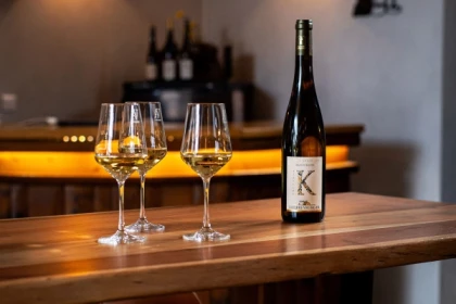 Meet our wines with an in-depth tasting. - Exploregion