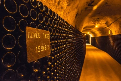 "Léonie" Guided Tour & Tasting - Exploregion