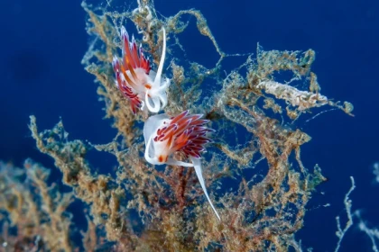 Level 1 training / PE 20 - Exploregion