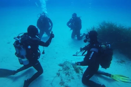 Formation Niveau 2 - PA 20 / PE 40 - app.name