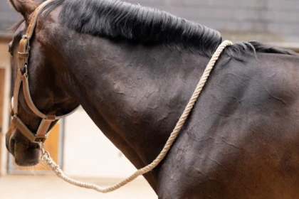 My hemp lanyard/leash - Exploregion