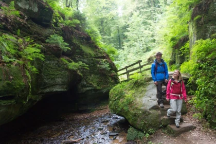 Nature and Castles of Luxembourg: 8-Hour Day Tour - Exploregion