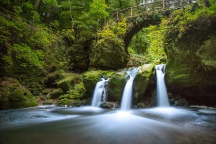 Nature and Castles of Luxembourg: 8-Hour Day Tour - Exploregion