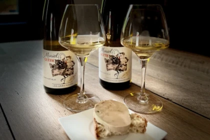 Dare to explore Foie Gras & organic Alsace wine pairings - Exploregion