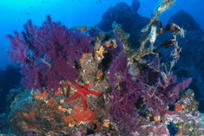 Formation PA-40 - app.name