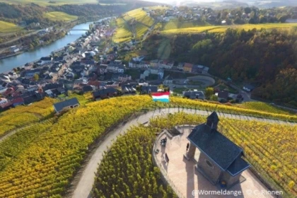 Private River & Wine Day Tour (4 or 8 hours) - Exploregion