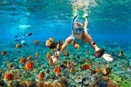 SARDINAUX EVASION - Snorkeling - Exploregion