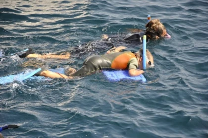Snorkeling supervised with instructor - Les Issambres - Exploregion