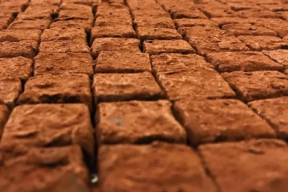 Bordeaux Food Tour - Exploregion