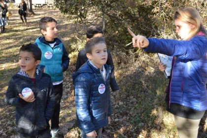 Treasure hunt in the forest - Promo - Exploregion