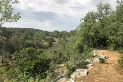 Treasure hunt in the forest - Promo - Exploregion