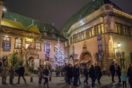 From Strasbourg: Alsace Villages and Christmas Markets - Exploregion