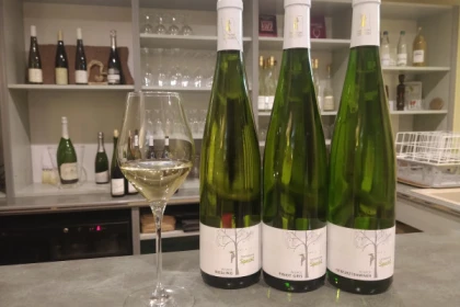 Traditional visit & wine tasting - 5 grape varieties - Exploregion