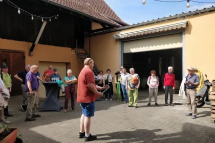 Traditional visit & wine tasting - 5 grape varieties - Exploregion