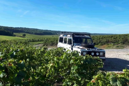 La Champenoise  Wine tourism 1/2 day - Exploregion