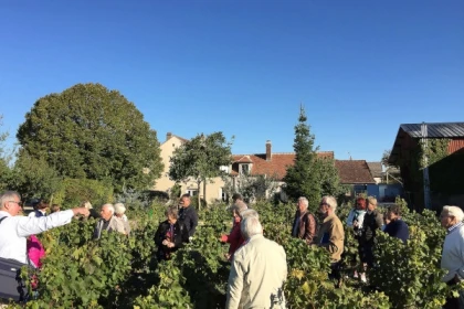 Davenne Pinot Noir Tour and Tasting in English - Exploregion