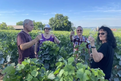 Grands Crus tour in e-Mehari and Chablis tasting - Exploregion