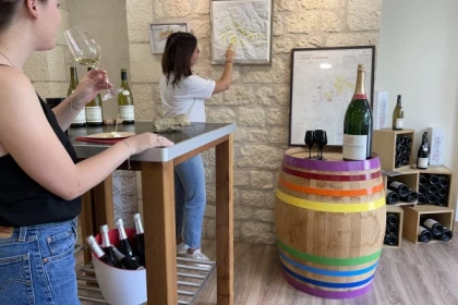 Grands Crus tour in e-Mehari and Chablis tasting - Exploregion
