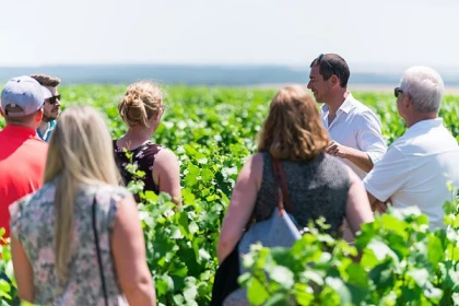 Visit and Chablis wine tasting at Domaine Clotilde Davenne in English - Exploregion