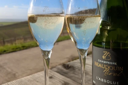 Tasting of 1 cuvée in the vineyard - Nogent l'Abbesse - Exploregion