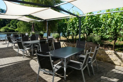 Wine tasting - Caves des Crémants POLL-FABAIRE - Exploregion