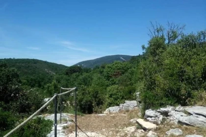 Treasure hunt in the forest - Promo - Exploregion