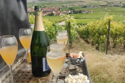 The must-see: Picnic and Champagne tasting - Exploregion