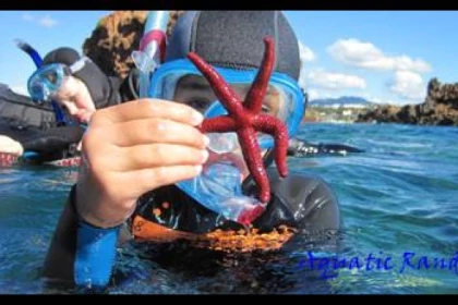 Palmed hiking - Fréjus - Exploregion