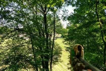 Tree Climbing - Manawa - Exploregion
